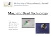Magnetic Bead Technology