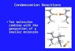 Condensation Reactions