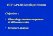 HIV GP120 Envelope Protein
