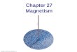 Chapter 27 Magnetism