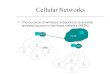 The purpose of wireless networks is to provide wireless access to the fixed network (PSTN)