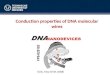 Conduction properties of DNA molecular wires