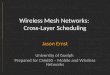 Wireless Mesh Networks:  Cross-Layer Scheduling