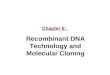 Chapter 8: Recombinant DNA Technology and Molecular Cloning