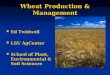 Wheat Production & Management