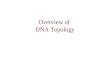 Overview of  DNA Topology