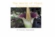The World of Plant Classification