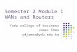 Semester 2 Module 1  WANs and Routers