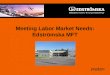 Meeting Labor  Market  Needs :  Edströmska  MFT