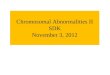 Chromosomal Abnormalities II SDK November 3, 2012