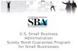 U.S. Small Business Administration Surety  Bond Guarantee  Program for Small Businesses