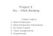Project 3: Ru – DNA Binding