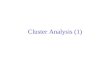 Cluster Analysis (1)