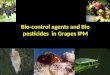 Bio-control agents and Bio pesticides  in Grapes IPM