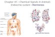 Chapter 45 ~  Chemical Signals in Animals Endocrine system ~ Hormones