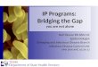 IP Programs :  Bridging  the  Gap y ou are not alone