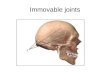 Immovable joints
