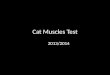 Cat Muscles Test