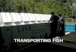 TRANSPORTING FISH