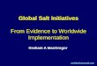Global Salt Initiatives From Evidence to Worldwide Implementation