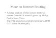 More on Internet Routing