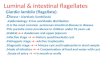 Luminal & intestinal flagellates