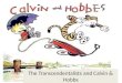 The Transcendentalists and Calvin & Hobbs