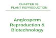 CHAPTER 38  PLANT REPRODUCTION