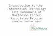 Introduction to the  Information Technology (IT) Component of Mortenson Center Associates Program
