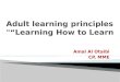 Adult learning principles “Learning  How to  Learn”