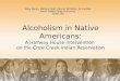 Alcoholism in Native Americans: A Halfway House Intervention  on the Crow Creek Indian Reservation