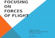 Focusing on Forces of Flight