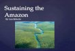 Sustaining the Amazon