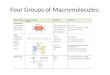 Four Groups of Macromolecules: