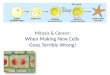 Mitosis & Cancer: When Making New Cells  Goes Terribly Wrong!