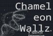 Chameleon  Wallz ®
