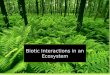 Biotic  Interactions  in an Ecosyste m