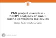 PhD project overview - REMPI analyses of small, iodine containing molecules