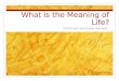 What is the Meaning of Life?