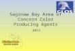 Saginaw Bay Area of Concern Color Producing Agents