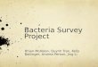 Bacteria  Survey Project