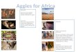 Aggies for Africa