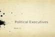  Political Executives