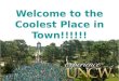 Welcome to the Coolest Place in Town!!!!!!