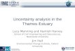 Uncertainty analysis in the Thames Estuary