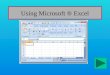 Using Microsoft ® Excel