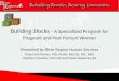 Building Blocks -  A Specialized Program for Pregnant and Post Partum Woman