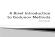 A Brief Introduction to Godunov Methods