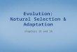 Evolution: Natural Selection & Adaptation