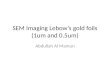 SEM Imaging  Lebow’s  gold foils (1um and 0.5um)